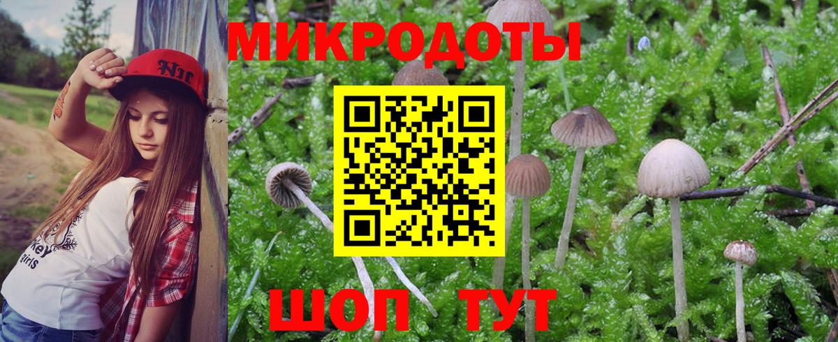 Псилоцибиновые грибы мицелий  Псилоцибиновые грибы Magic Shrooms  Холмск  Вход с VPN 